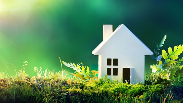 5 ways to make your home sustainable