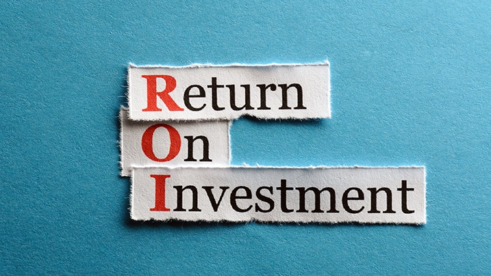 what is portfolio investment scheme