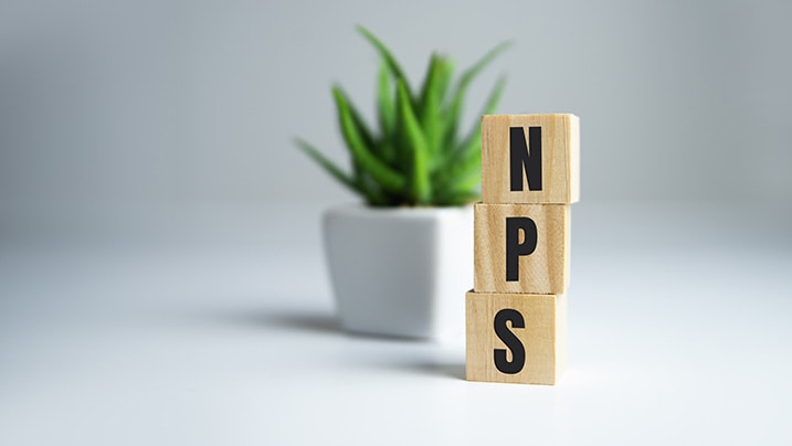 flower pot with NPS alphabet blocks on side