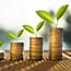 Savings Account
