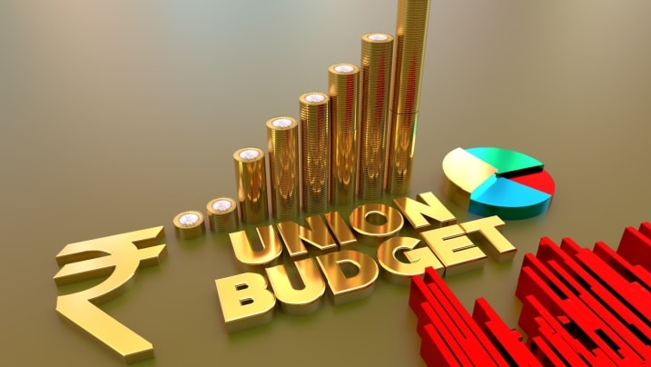 Union budget 2025 savings