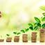 Fixed Deposit Meaning
