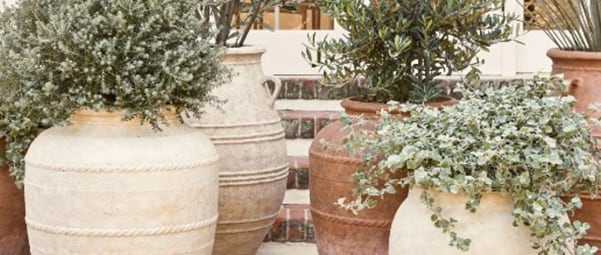 potterybarn.in