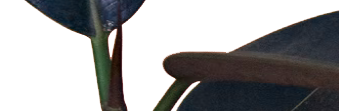 breaker.png
